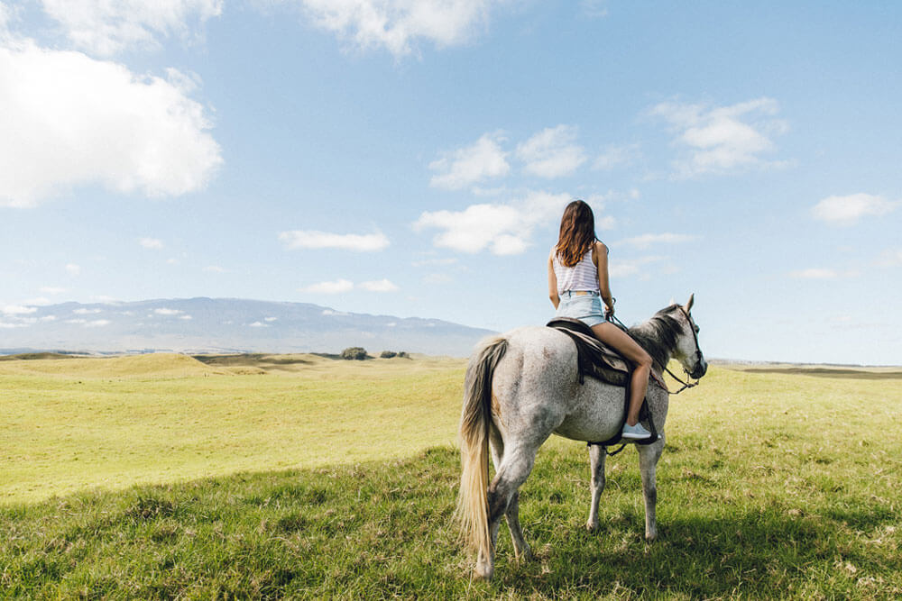 Lone rider looks at Maunakea from Waimea pasturelands